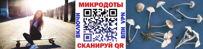 Галлюциногенные грибы MAGIC MUSHROOMS  сколько стоит  Иноземцево 